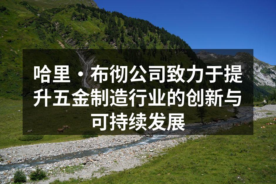 哈里·布彻公司的先进生产线